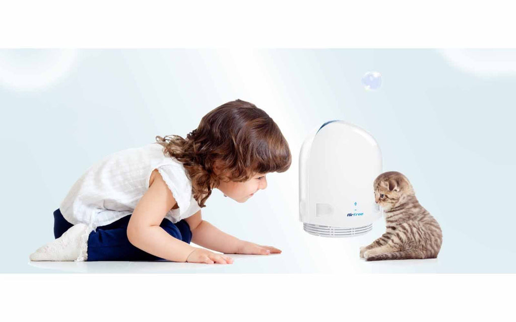 Why Choose Airfree Air Purifiers